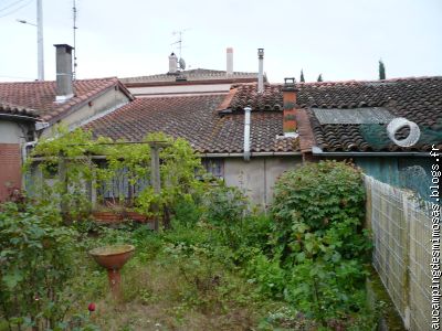 le jardin (vu sur la cuisine)